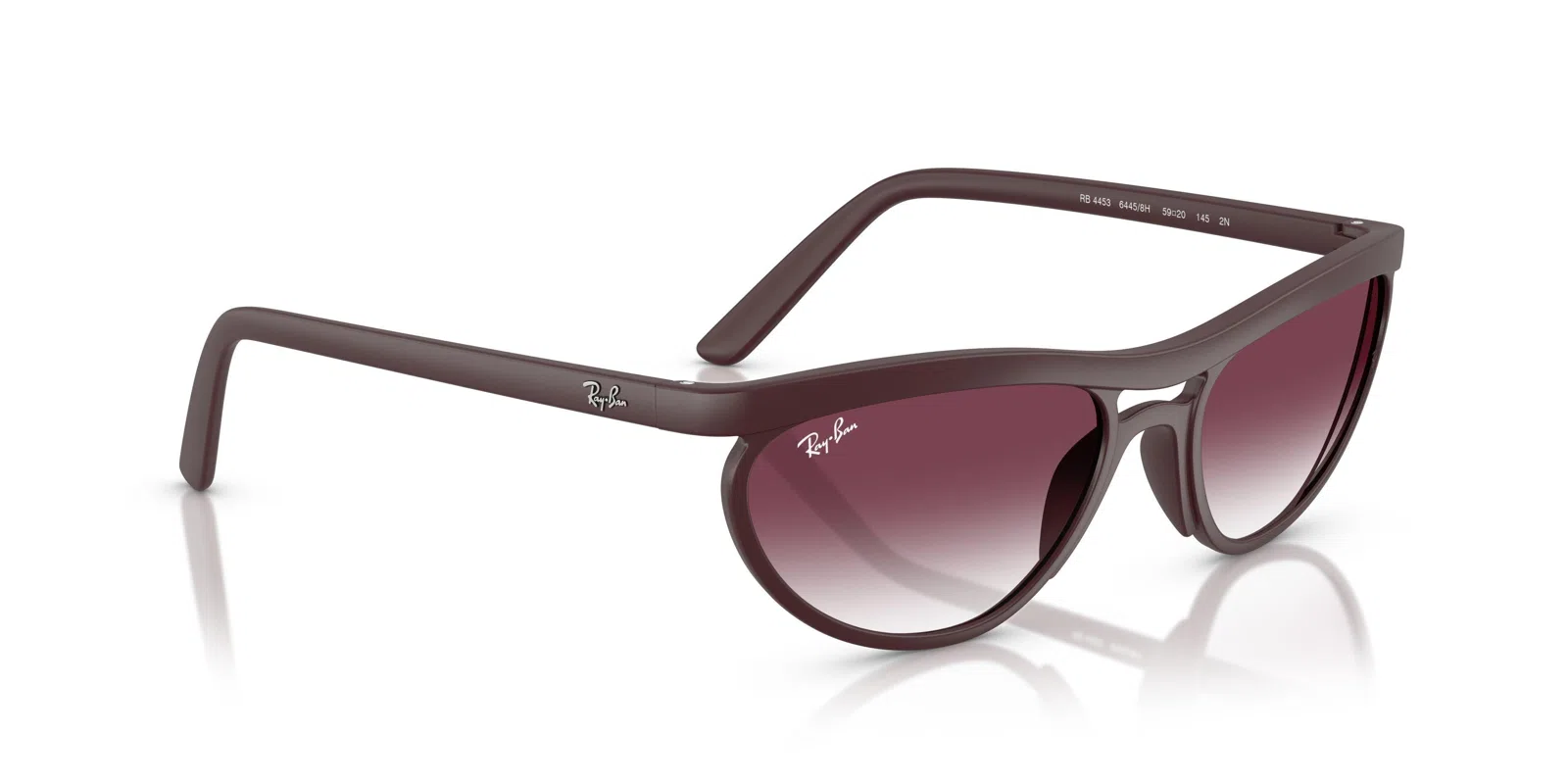 Ray-Ban 4453 Sunglasses - view 27